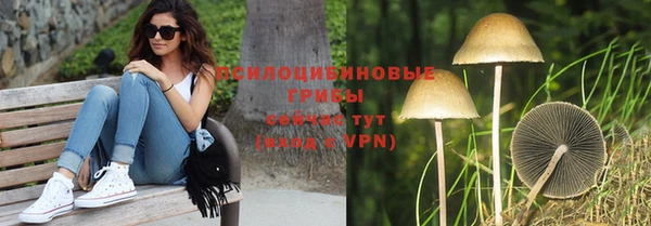 мет Липки