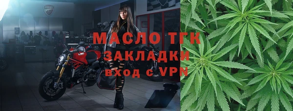 гашик Ладушкин