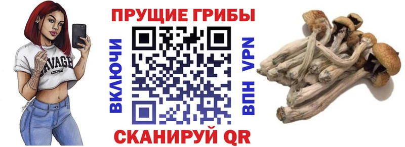 Галлюциногенные грибы мицелий  Купить где  Лаишево 